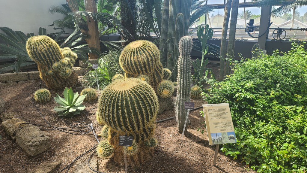 Montreal Botanical Garden photo 2