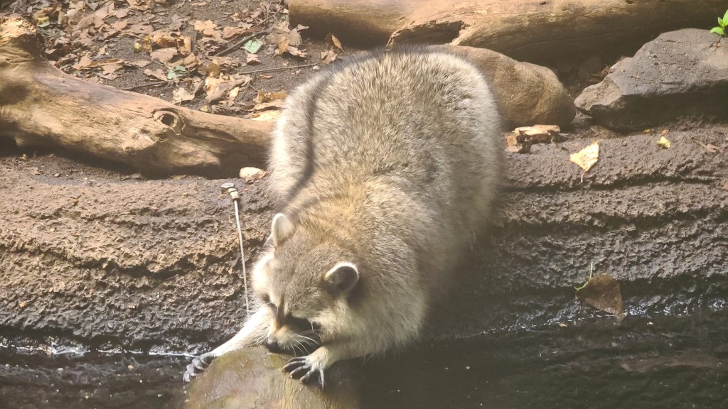 Biodome Montreal photo