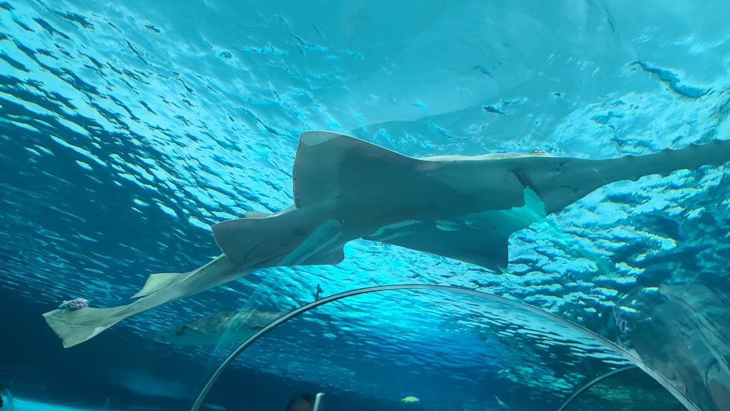 Ripley's Aquarium of Canada