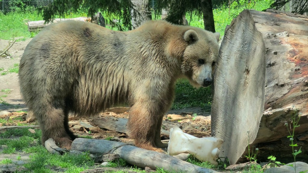 Save on Toronto attractions