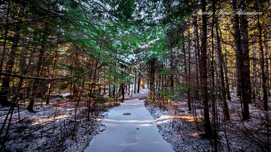 Webber Lake Falls Trail