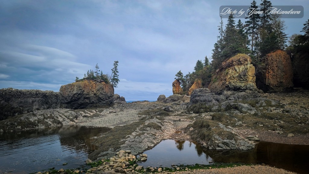 Path to the beach near Baxter's Harbour Falls photo