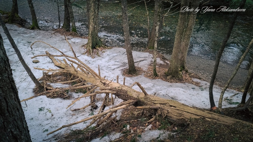 Drysdale Falls trail photo