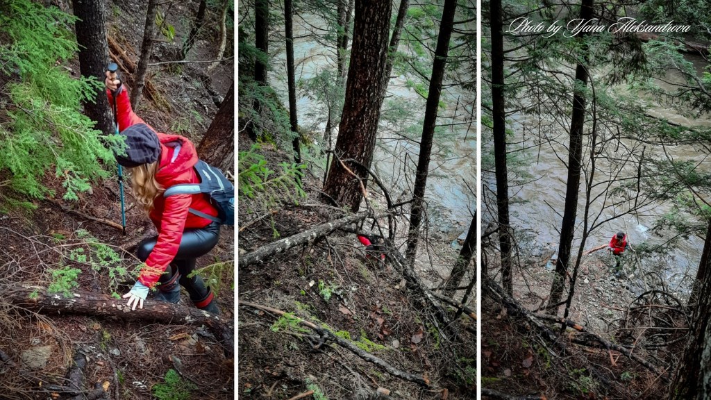 Drysdale Falls trail photo