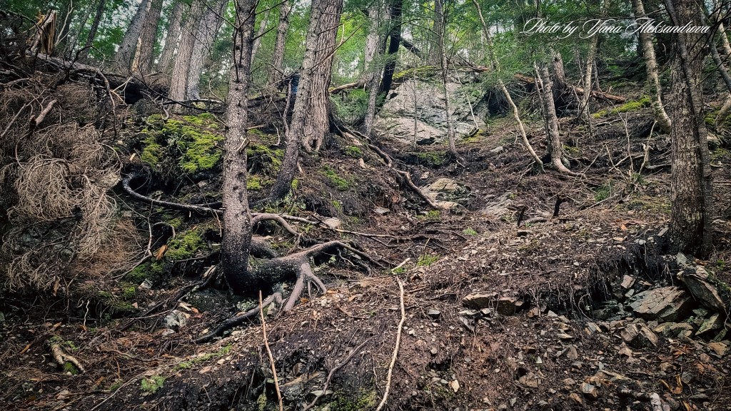 Drysdale Falls trail photo