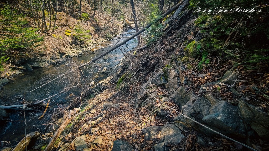 Church Vault Brook Falls trail photo