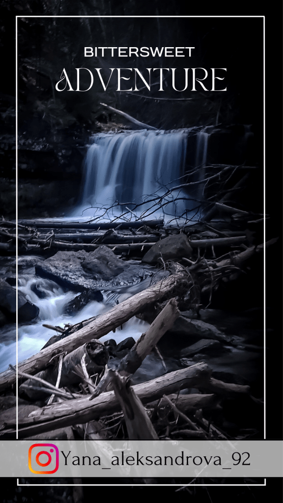 Church Vault Brook Falls reel