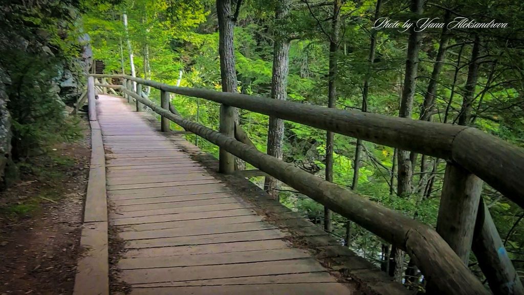 Trail to the Joe Howe and Waddell Falls