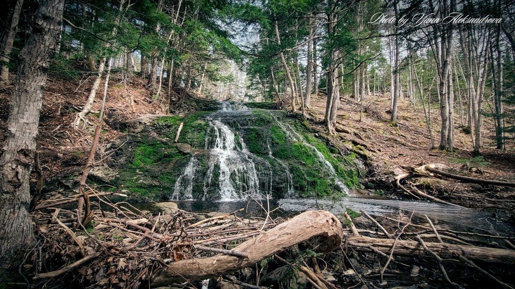Givan’s Brook Falls photo by Yana Aleksandrova