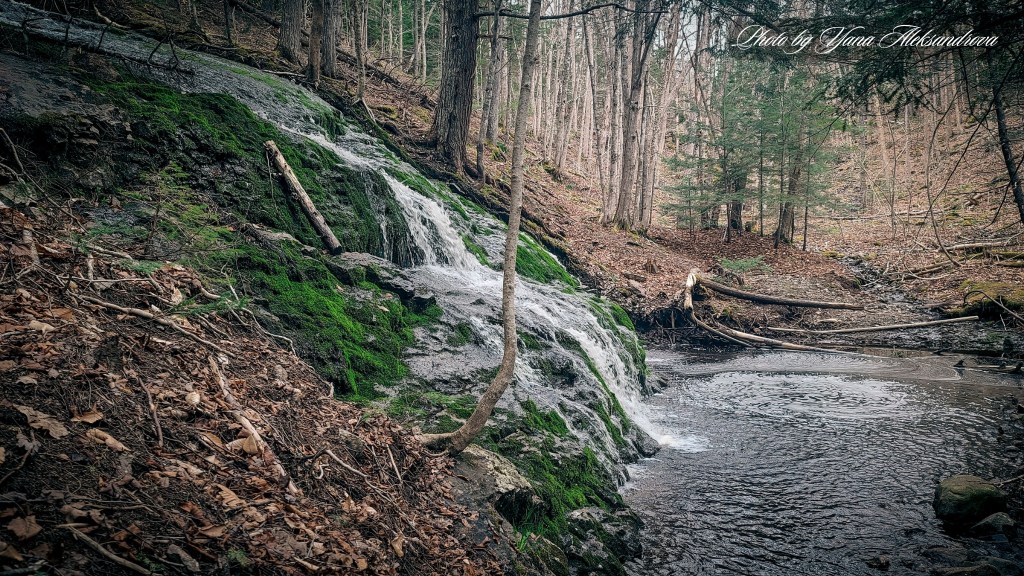 Givan’s Brook Falls photo by Yana Aleksandrova