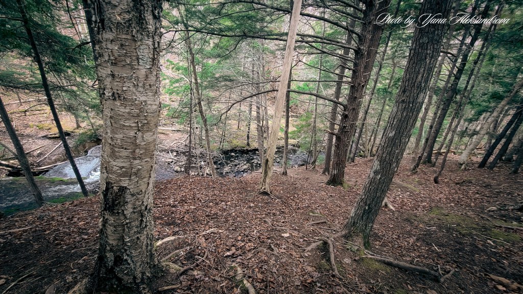Givan’s Brook Falls hike photo by Yana Aleksandrova