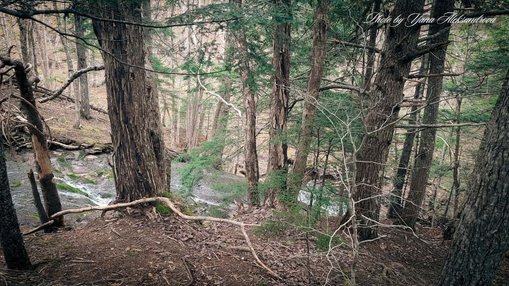 Givan’s Brook Falls hike photo by Yana Aleksandrova