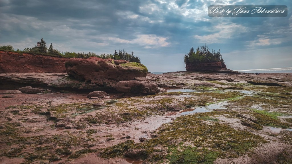 Burntcoat Head Park during low tide, Nova Scotia, Canada