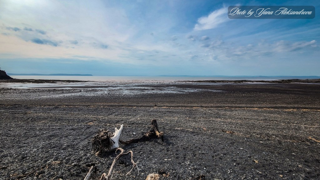 Bramber Flower Pot Rock Beach, Nova Scotia, Canada, Photo by Yana Aleksandrova