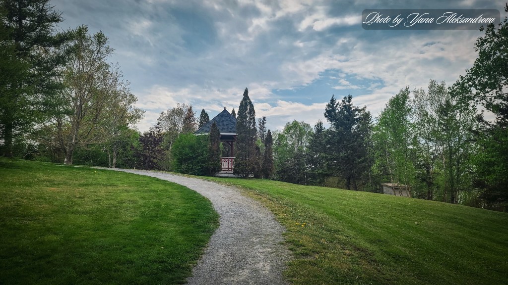 Burntcoat Head Park trails photo by Yana Aleksandrova