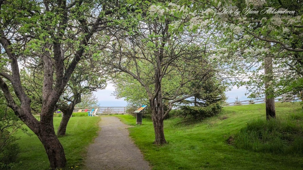 Burntcoat Head Park trails photo by Yana Aleksandrova