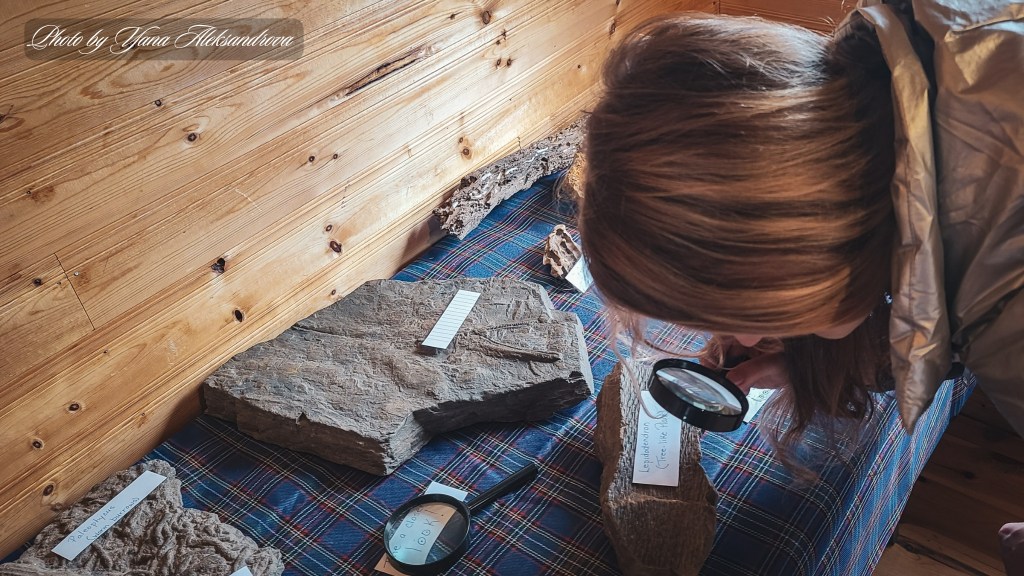 Burntcoat Head Park Lighthfossils photo by Yana Aleksandrova