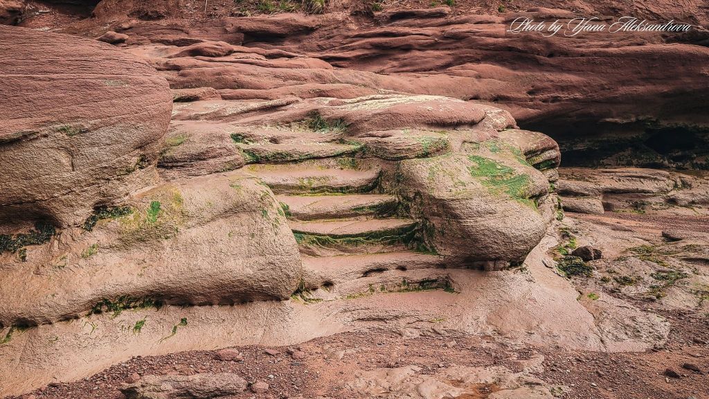 Burntcoat Head Park staircase to the ocean floor, Nova Scotia, Canada