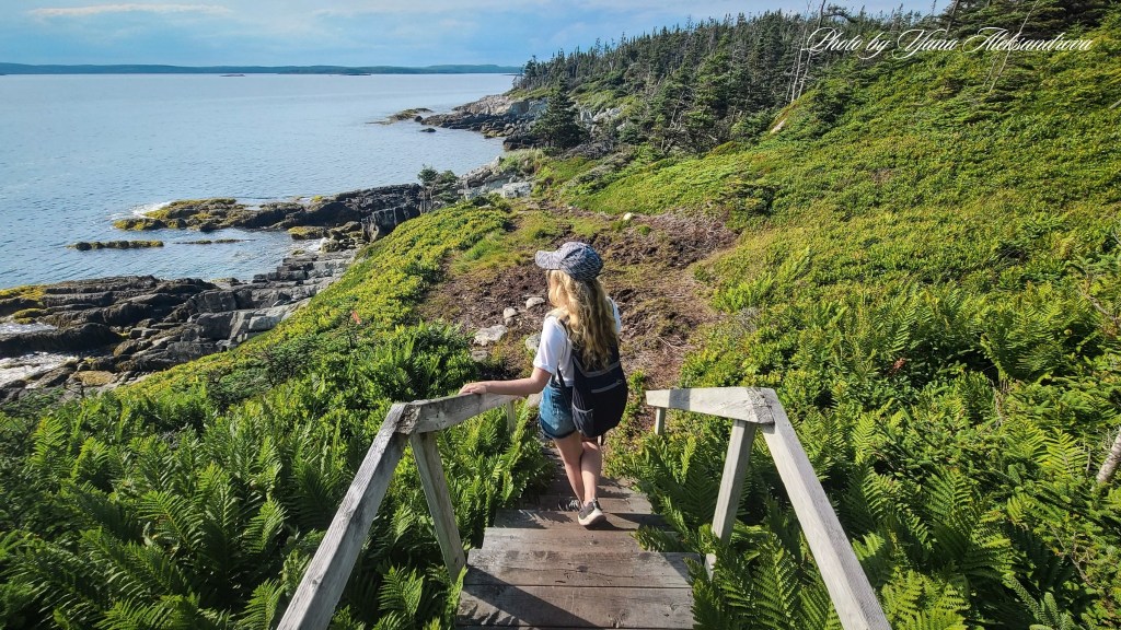 Headland trail, Taylor Head Provincial Park, Nova Scotia, Canada