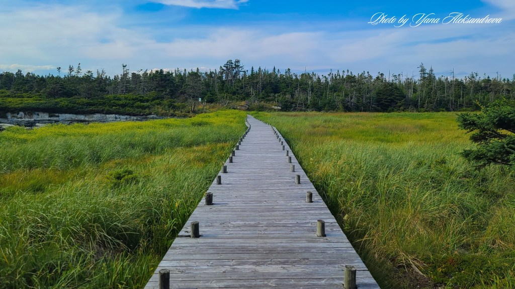 Headland trail, Taylor Head Provincial Park, Nova Scotia, Canada