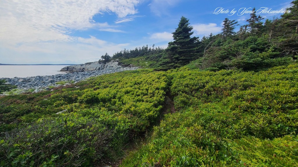 Headland trail, Taylor Head Provincial Park, Nova Scotia, Canada