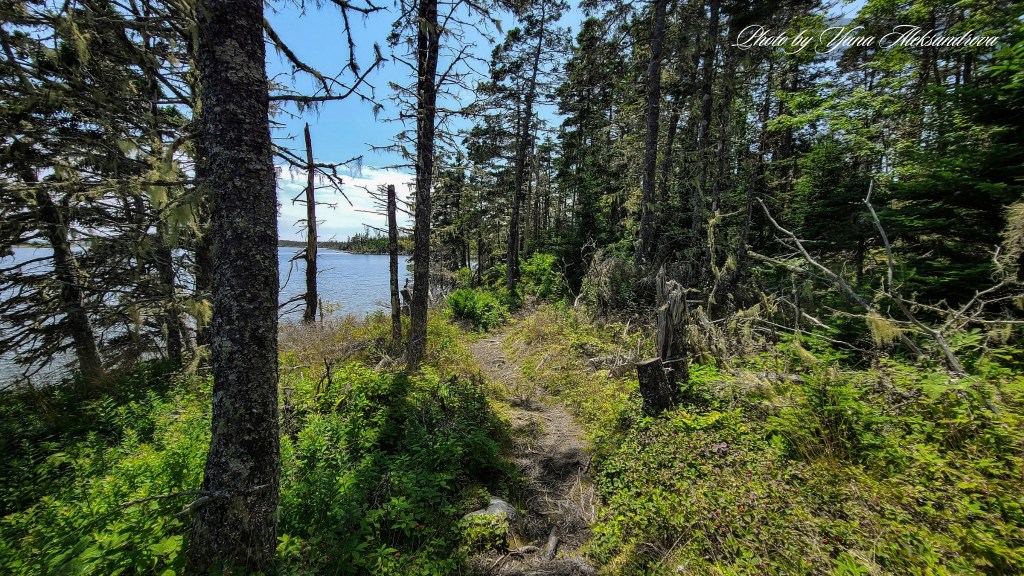Headland trail, Taylor Head Provincial Park, Nova Scotia, Canada