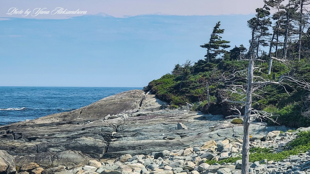 Headland trail, Taylor Head Provincial Park, Nova Scotia, Canada