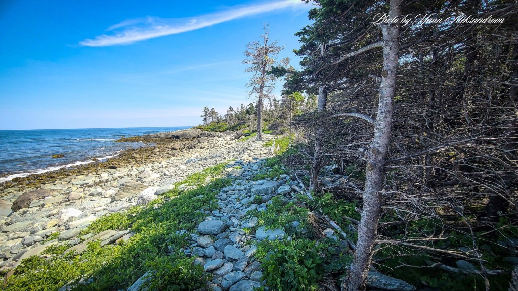 Headland trail, Taylor Head Provincial Park, Nova Scotia, Canada