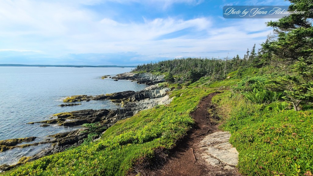 Headland trail, Taylor Head Provincial Park, Nova Scotia, Canada