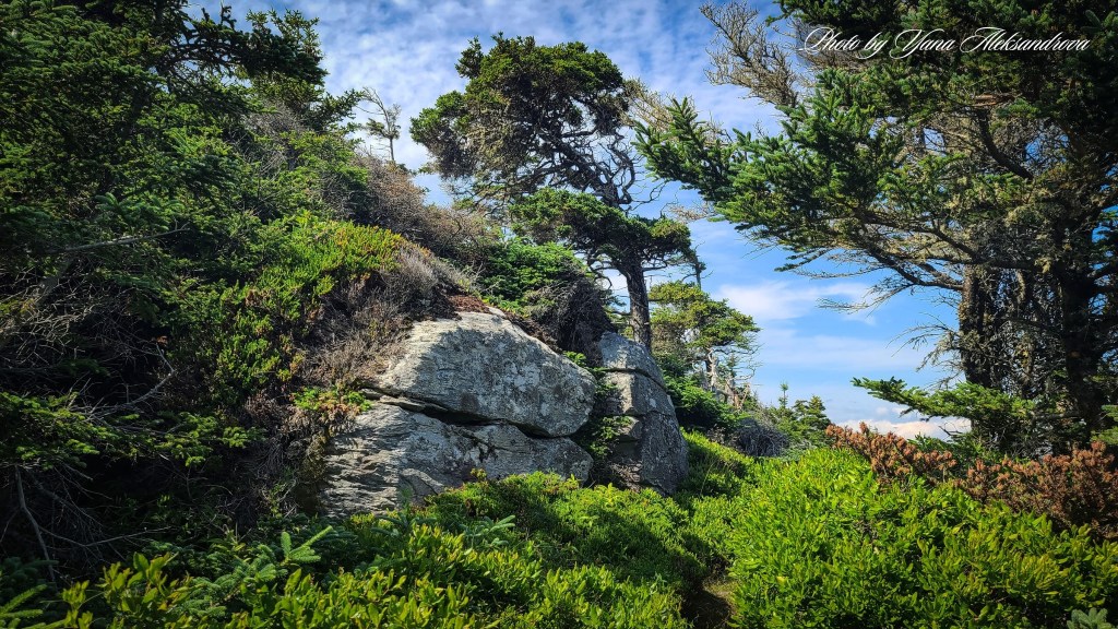 Headland trail, Taylor Head Provincial Park, Nova Scotia, Canada