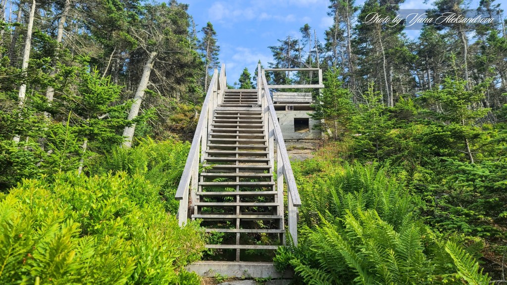 Headland trail, Taylor Head Provincial Park, Nova Scotia, Canada