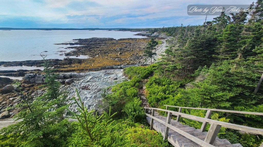 Headland trail, Taylor Head Provincial Park, Nova Scotia, Canada