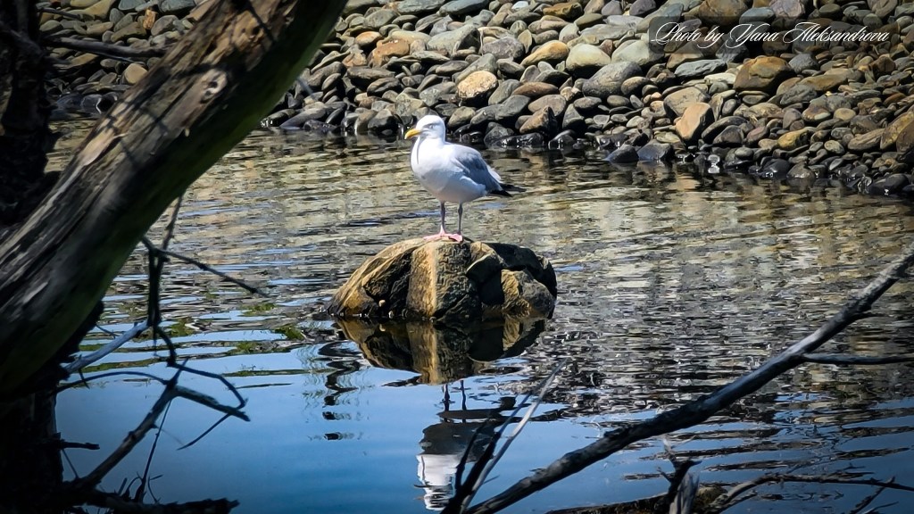 Headland trail, Taylor Head Provincial Park, Nova Scotia, Canada