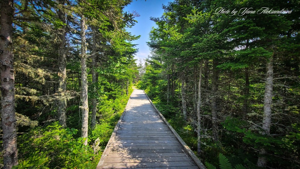 Taylor Head Provincial Park, Nova Scotia, Canada