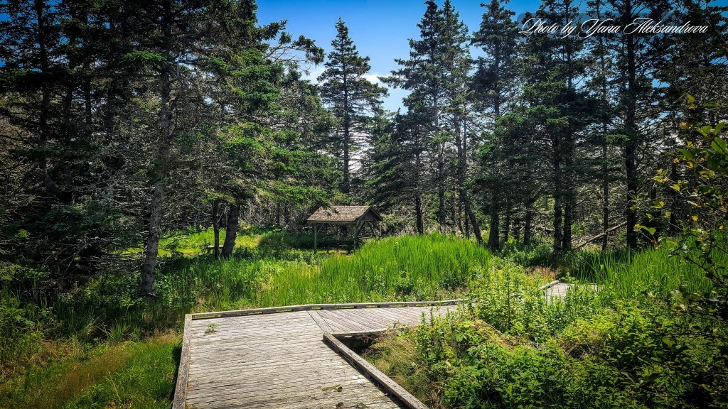 Taylor Head Provincial Park, Nova Scotia, Canada