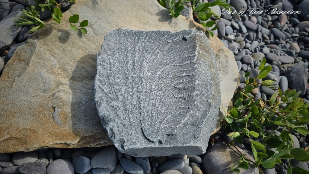 Headland trail, Taylor Head Provincial Park, Nova Scotia, Canada