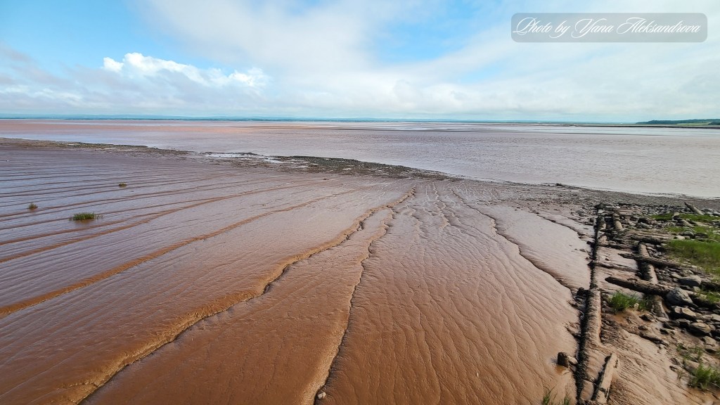 Dawson Dowell Park tidal changes view photo amazing landscape