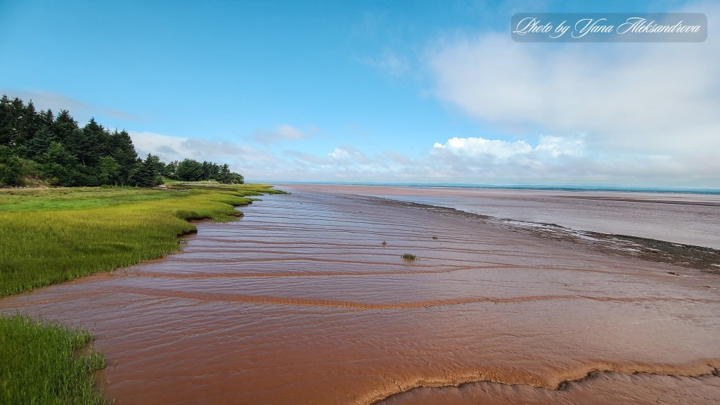 Dawson Dowell Park tidal changes view photo amazing landscape