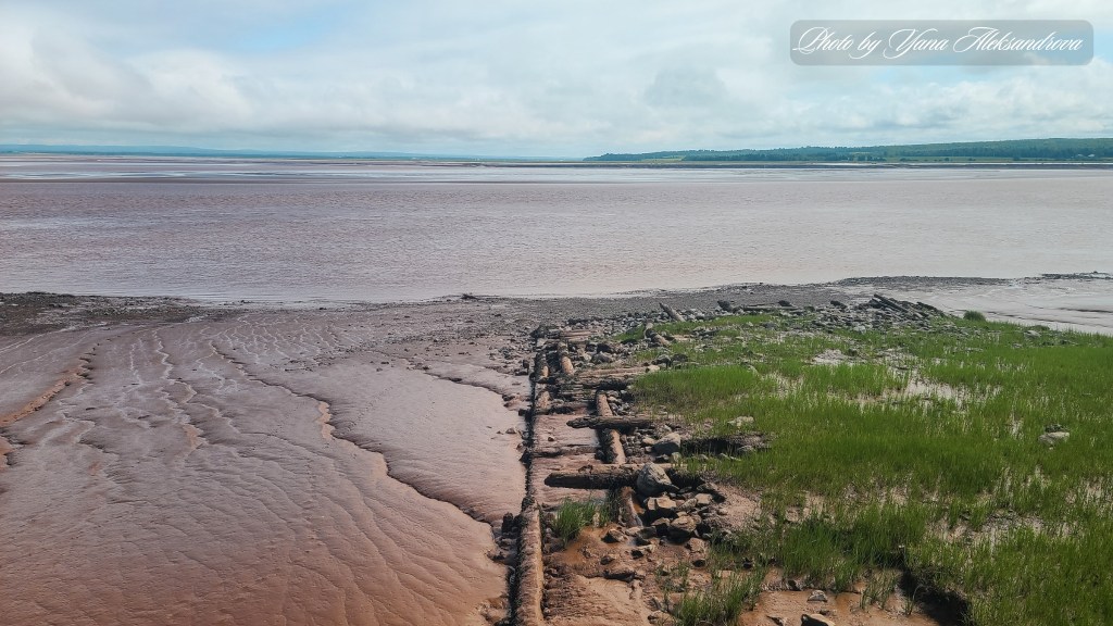Dawson Dowell Park tidal changes view photo amazing landscape