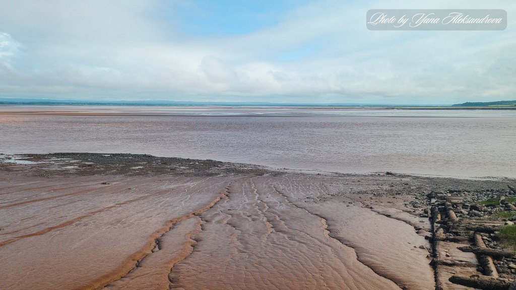 Dawson Dowell Park tidal changes view photo amazing landscape
