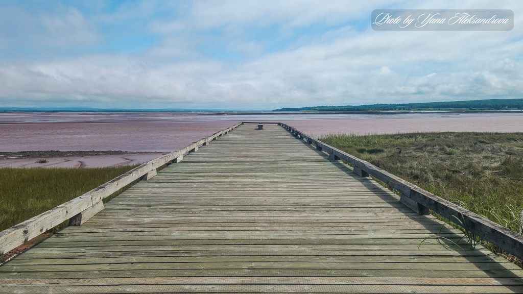 Dawson Dowell Park tidal changes view photo amazing landscape