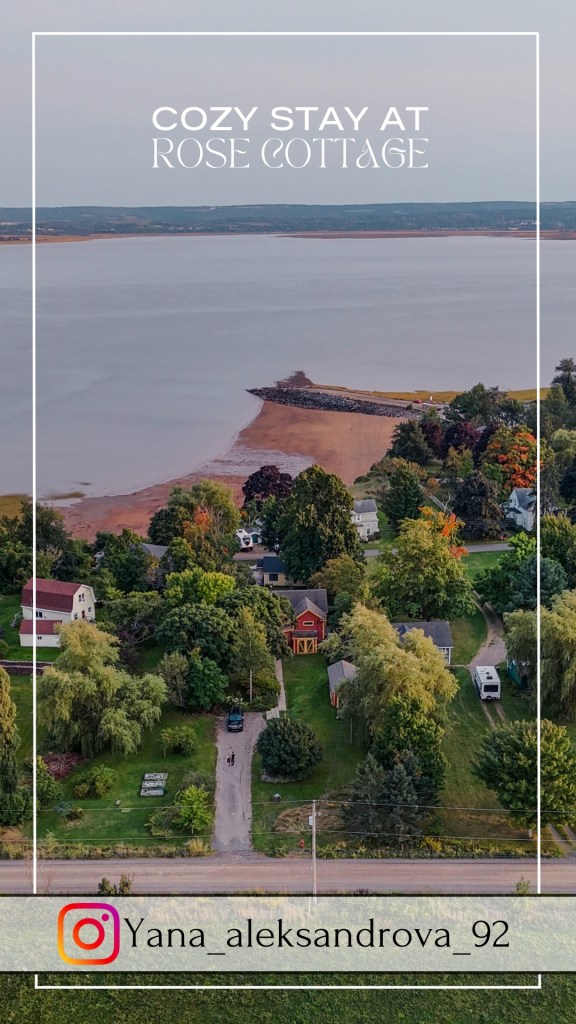 Cozy Stay at Rose Cottage, reel