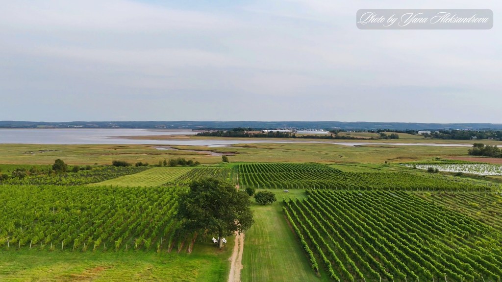 Wine tasting at Blomidon Estate Winery, Nova Scotia, Canada photo