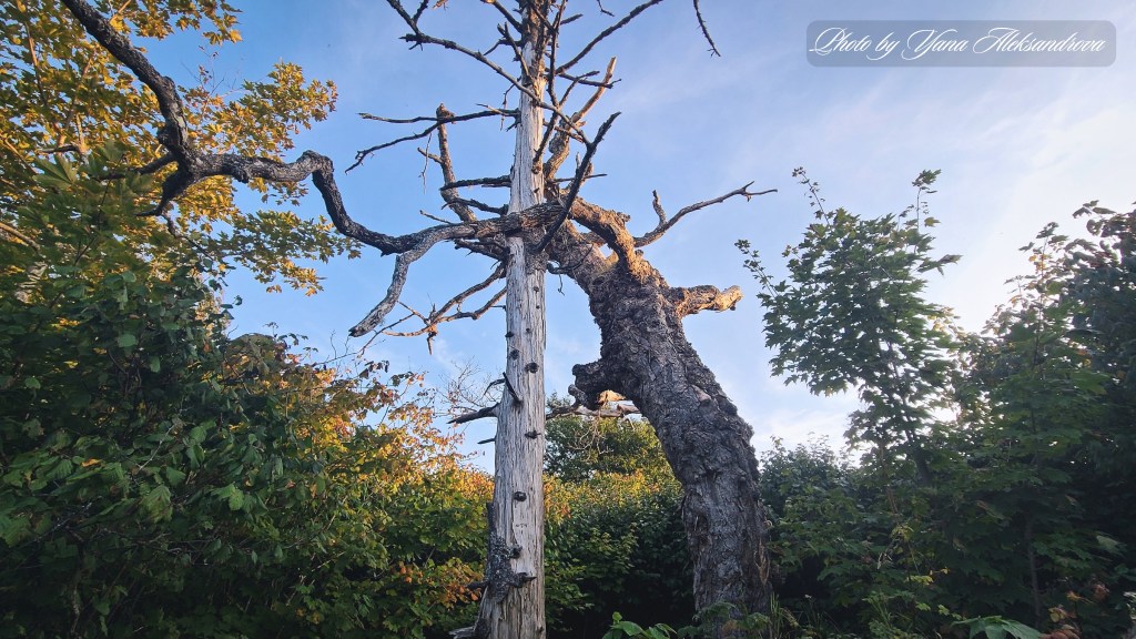 Cape Split hike, Nova Scotia, Canada photo