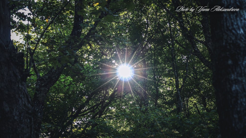 Hiking Cape Split trail, NS, Canada photo