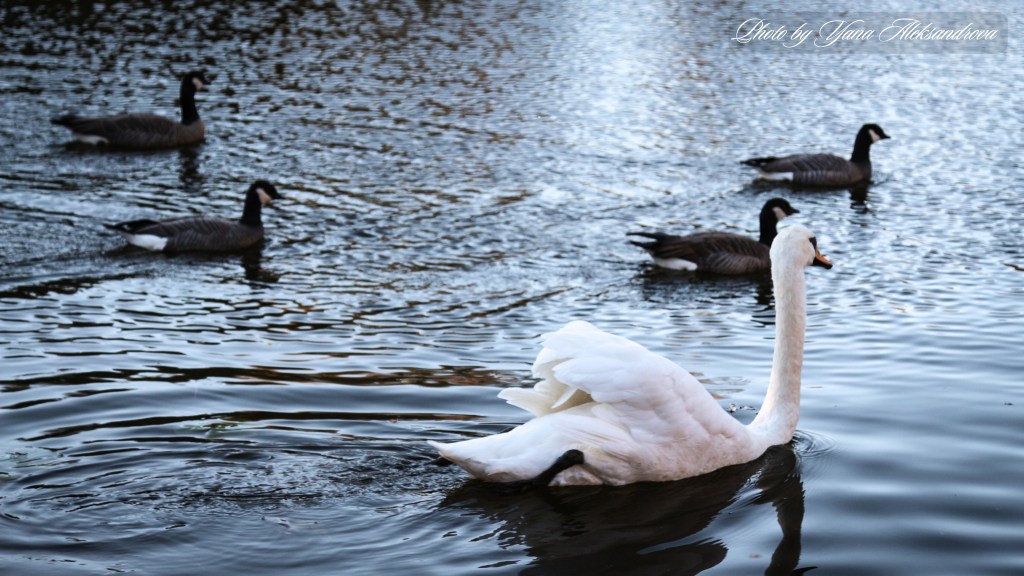 That Dutchman's Cheese Farm photo