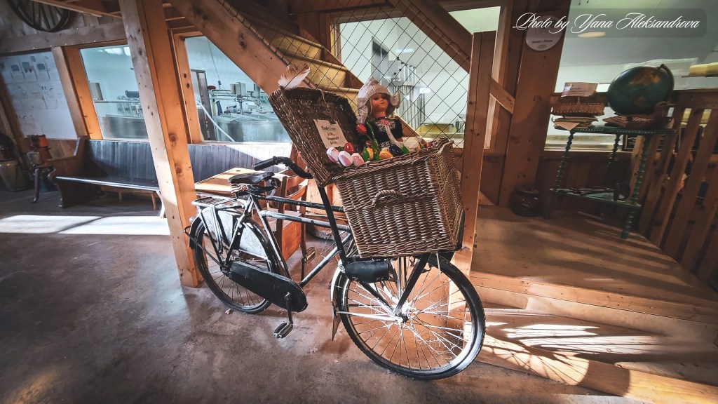 That Dutchman's Cheese Farm Cheese Shop photo