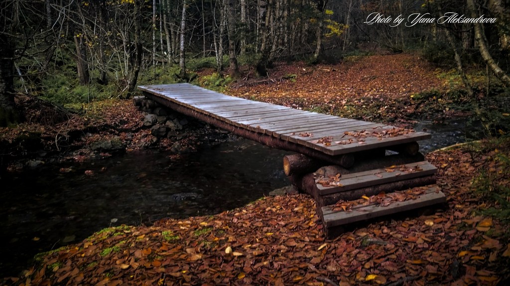 Ward Falls Hiking Trail Photo