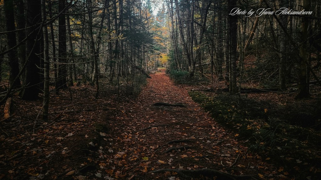 Ward Falls Hiking Trail Photo