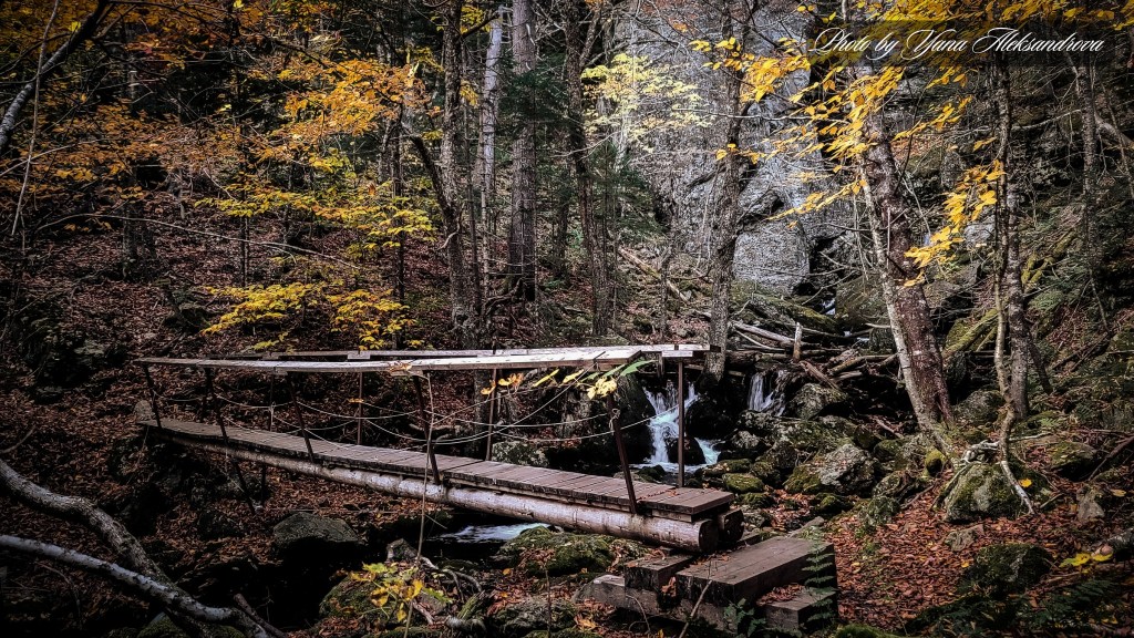 Ward Falls Hiking Trail Photo